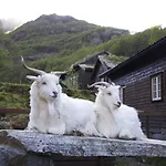 Byrkjedalstunet