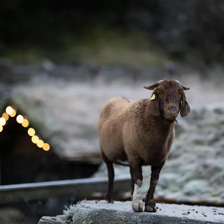 Byrkjedalstunet Hotel 3*