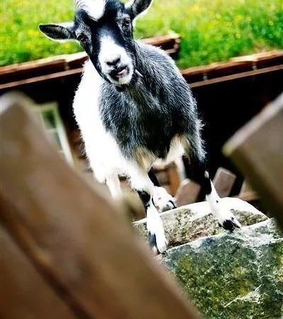 Byrkjedalstunet Hotel 3*