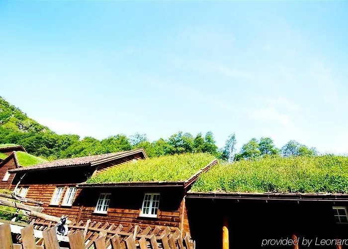 Byrkjedalstunet 3* Byrkjedal