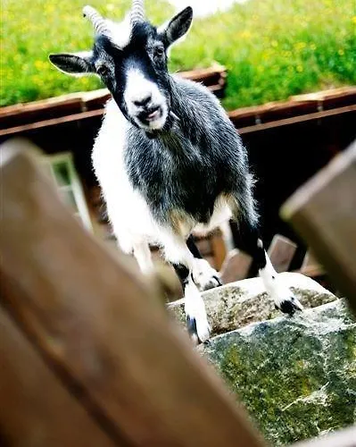 Byrkjedalstunet 酒店 3*