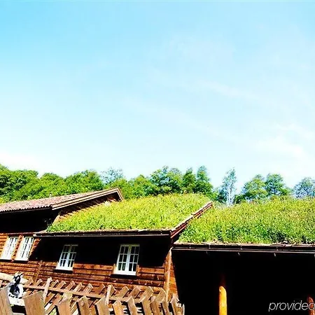 Byrkjedalstunet 3* Byrkjedal